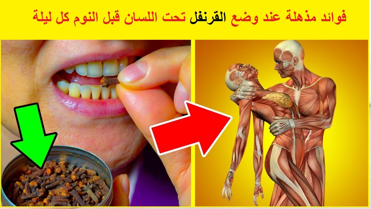فوائد وضع القرنفل تحت اللسان
