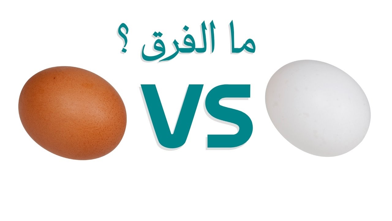 الأبيض الأبيض والأحمر