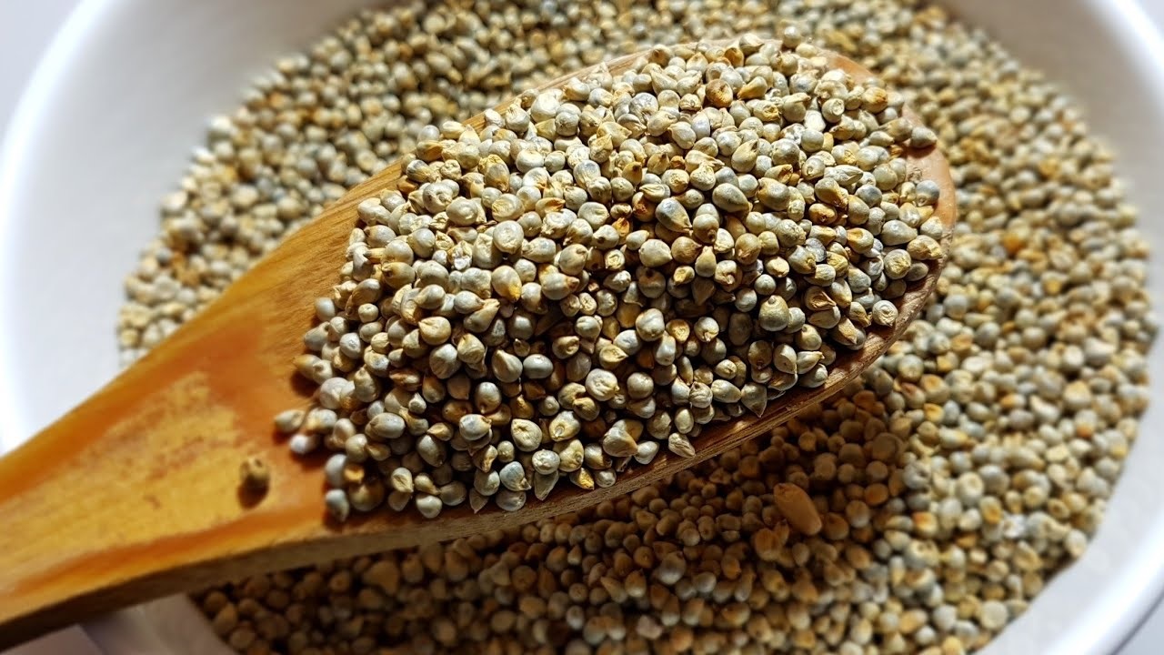 حبوب الدخن