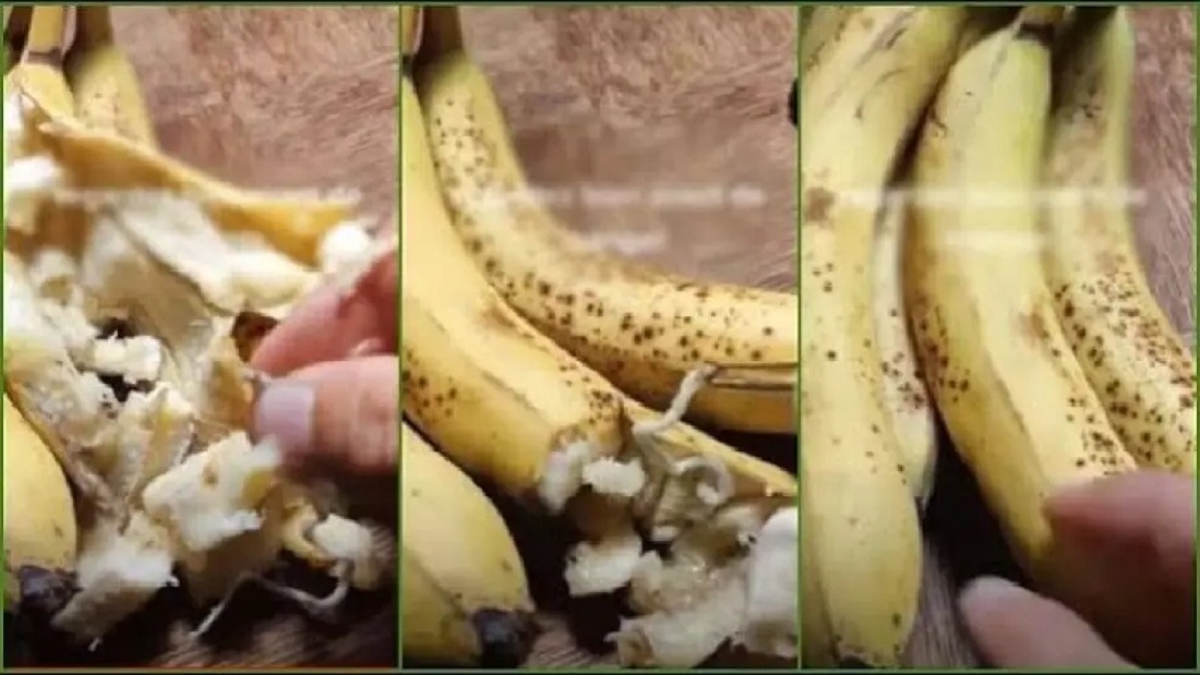 الموز