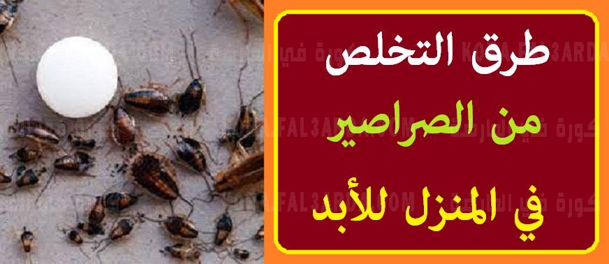 طرق التخلص من الصراصير في المنزل