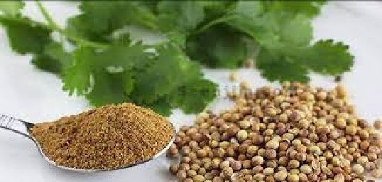أدهشت الأطباء.. عشبة سحرية تكافح أمراض القلب والسرطان وتنظم مستوى السكر في الدم