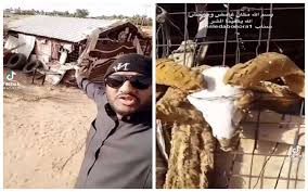 مالايخطر على بال ..سعودي يعثر على “عشة” مهجورة وسط الصحراء.. وعندما اقترب منها كانت المفاجأة!