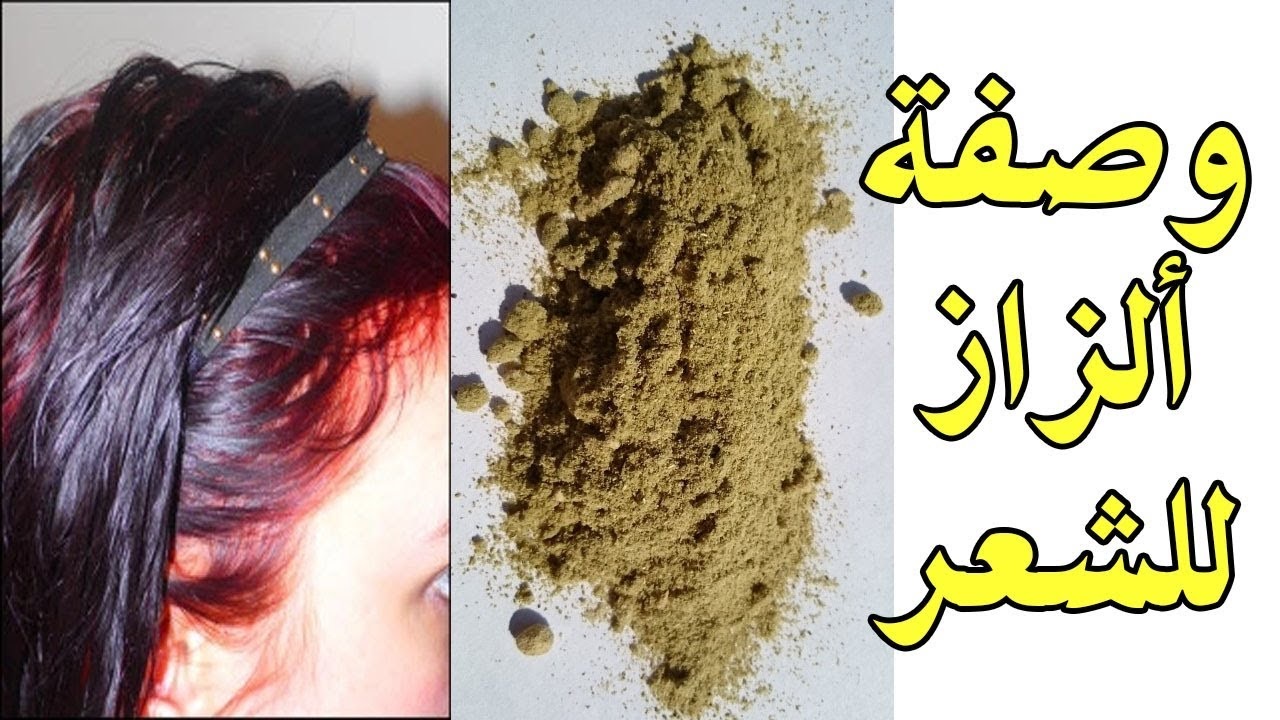 فوائد عشبة الزاز 