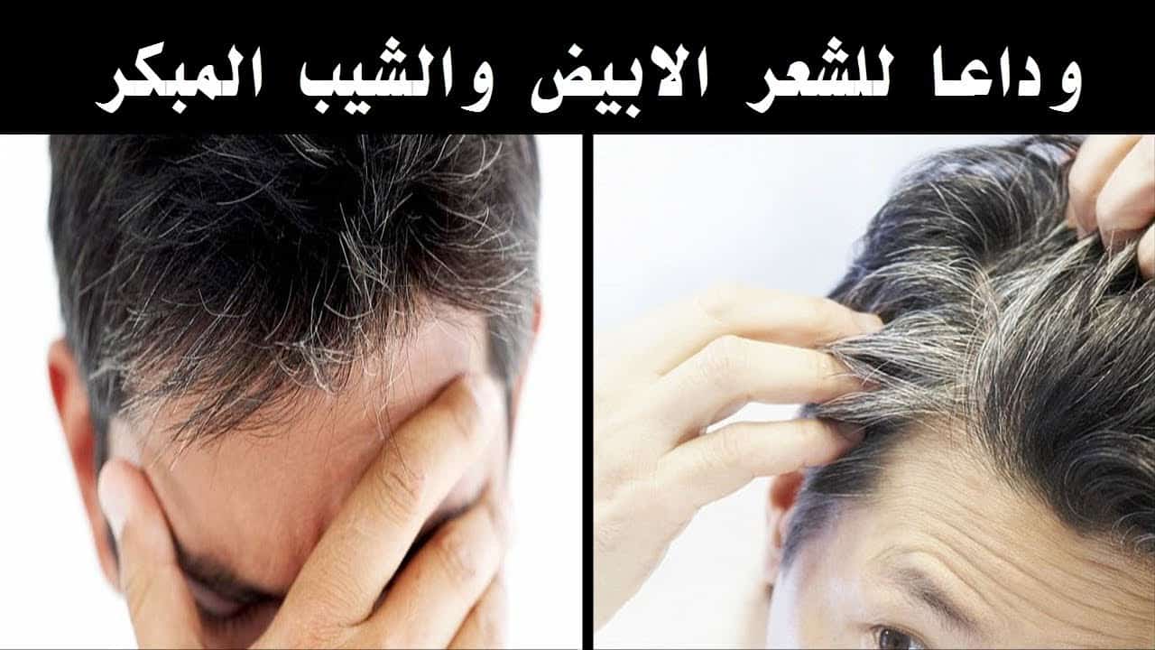 تخلص من الشيب نهائيًا بوصفة طبيعية مذهلة وأعد سواد شعرك من جديد بلمعانه بدون صبغة أو حناء 