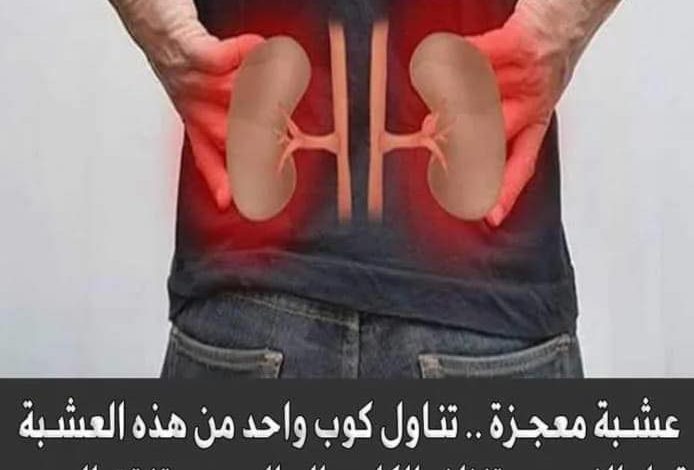 رخيصة الثمن .. كوب واحد من هذه العشبة الجبارة قبل النوم ستنظف الكلى والحالب وستفتت الحصى !
