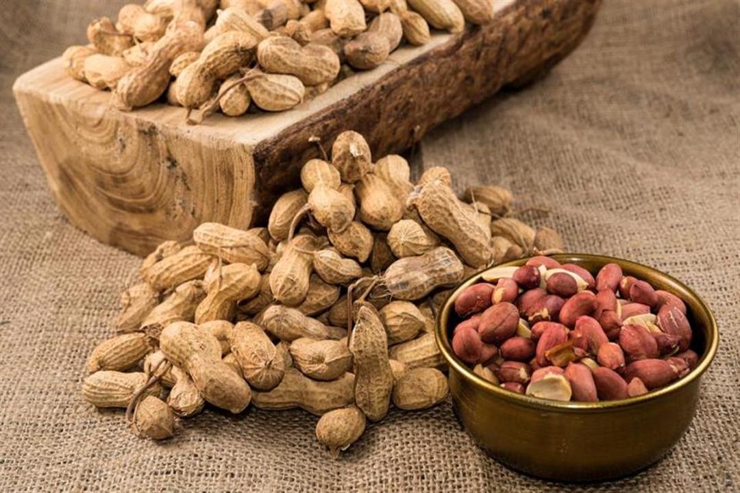 فول سوداني