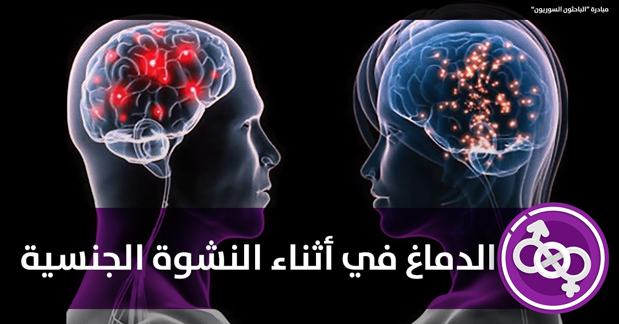  الدماغ أثناء النشوة الجنسية
