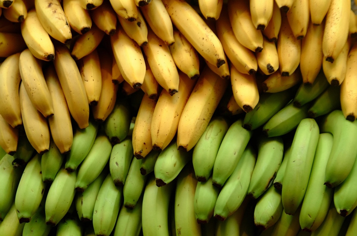 الموز الأخضر والناضج