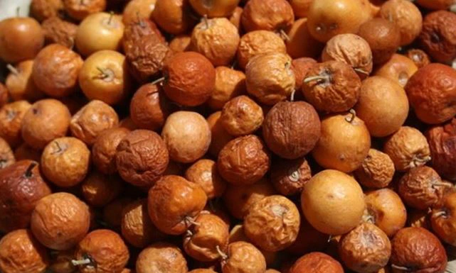 فاكهة شهيرة أوصانا بها الرسول (ص) ..  تقي من السكري والقلب و الكبد وتعالج العديد من الأمراض ولها فوائد كثيرة لن تتوقع بعضها .. (تعرف عليها)