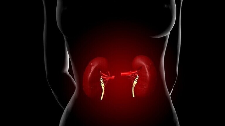 أعراض أمراض الكلى يكشفها طبيب روسي وعدم علاجها له عواقب خطيرة