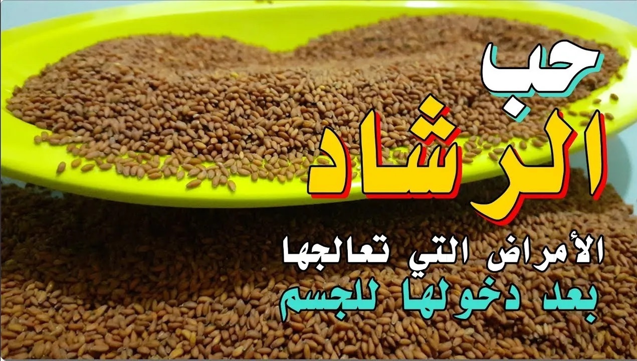 حب الرشاد