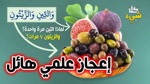  ذكرها الله القرآن.. أقوى فاكهة تقضي على ألم العظام دون الحاجة إلى استخدام الكثير من الأدوية