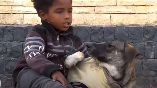 مصر .. طفل مشرد يعيش مع كلبته
