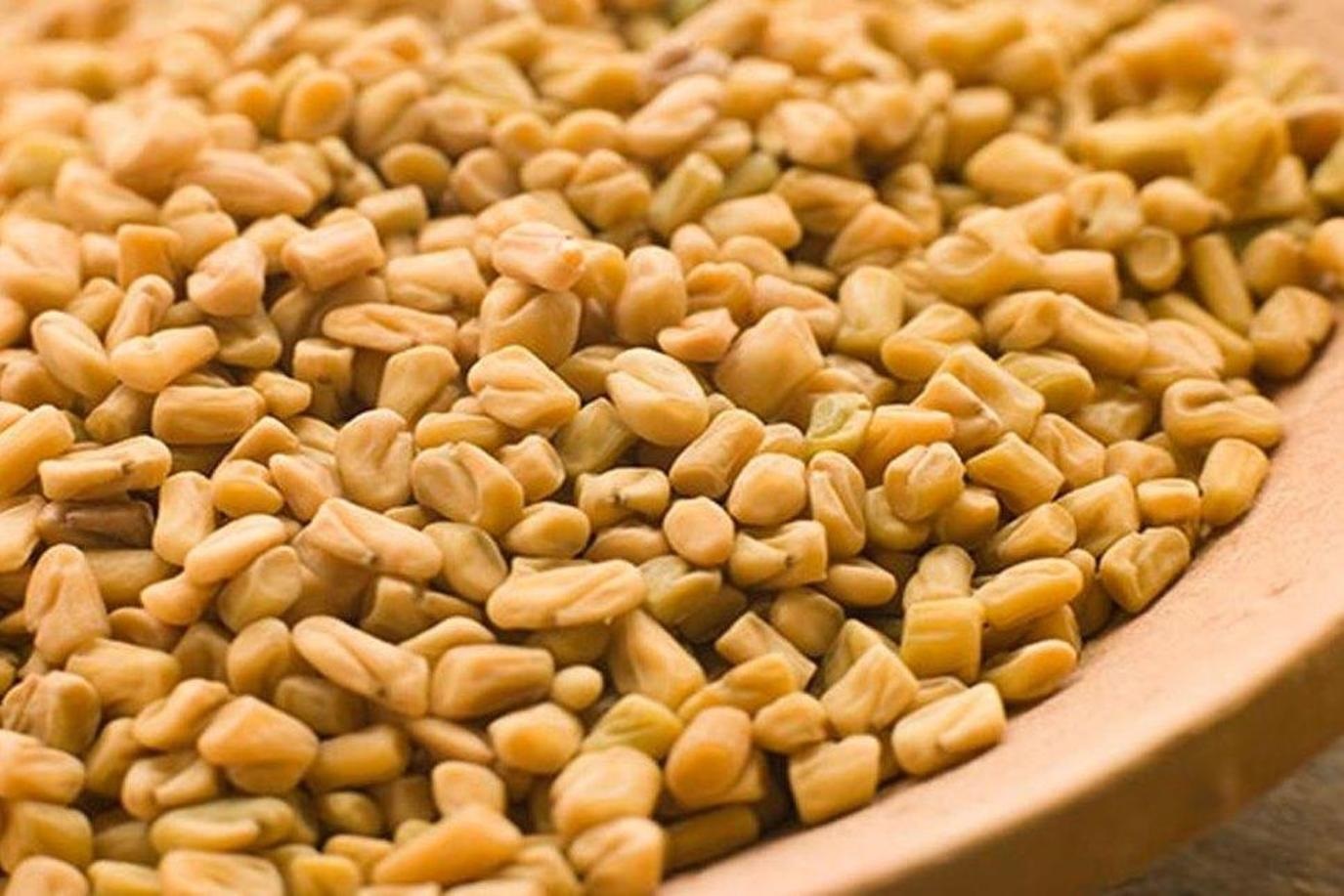 الحلبة