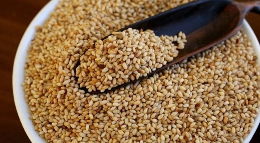 عند مضغ بذور السمسم على الريق في الصباح الباكر هذا ما يحدث لجسمك ؟ .. نتائج جبارة لن تتخلى عنه ابداً