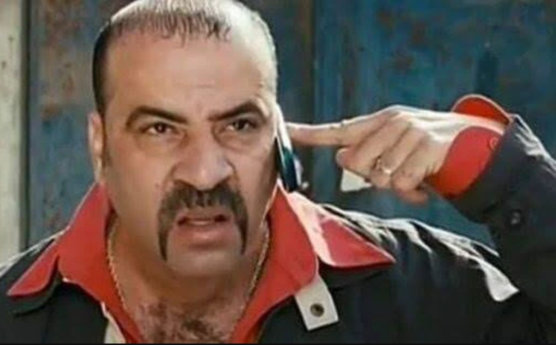  الفنان محمد سعد 