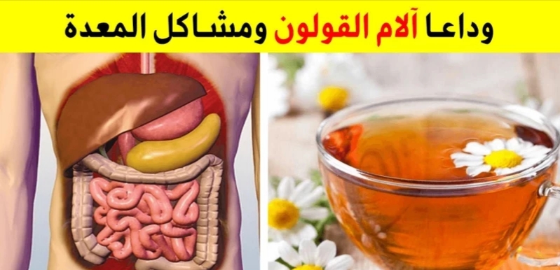 عشبة متوفرة تطرد غازات وفضلات القولون وتعالج البواسير بسرعة خيالية ..وداعاً لإنتفاخ وعسر الهضم