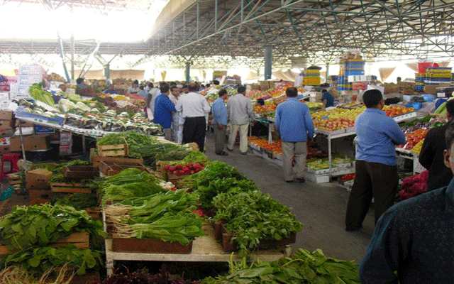 نبتة عشبية