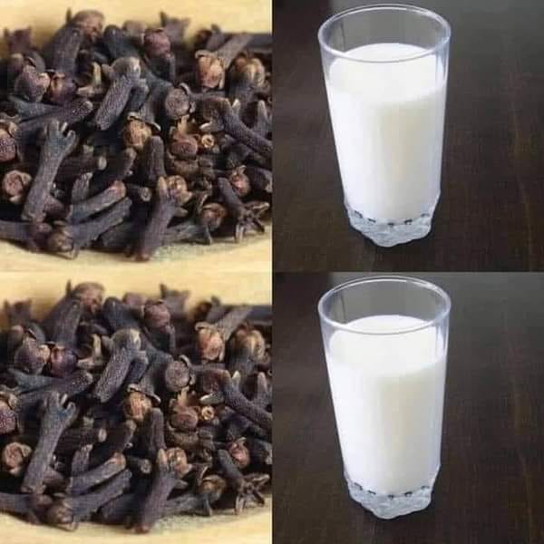 فوائد عظيمة عند تناول القرنفل بالحليب على الريق هذا ما يحدُث لجسمك من معجزات!