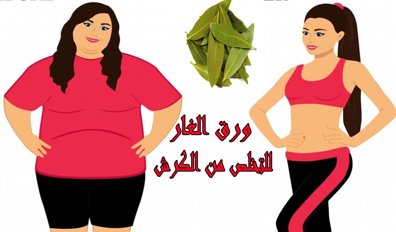 معجزة سحرية يبحث عنها الجميع ولا يعلمون انها في ورق الغار ..نتائج مذهلة ستجعلك تستخدمه كل يوم فقط بهذه الطريقة!