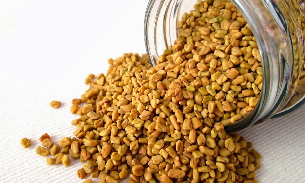 الحلبة
