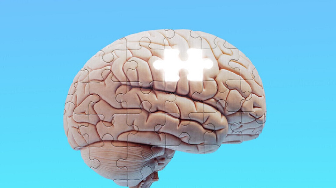 دماغ