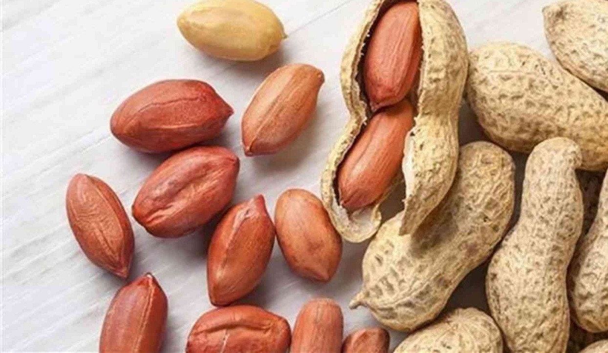 الفول السوداني