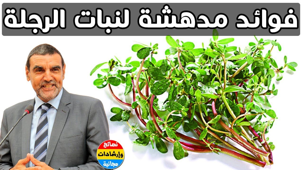 الرجلة