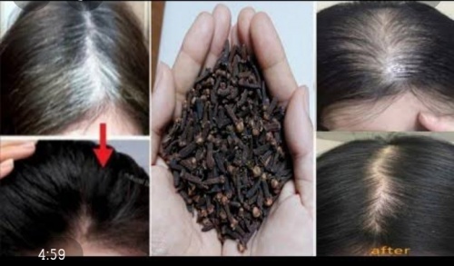 وصفة القرنفل لازالة الشيب و تكثيف الشعر
