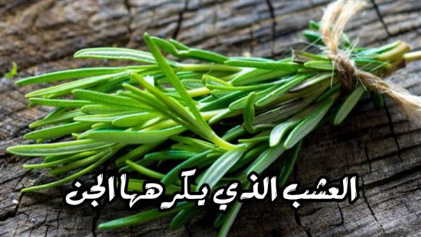 عرفت بعلاج الجن العاشق لكرهه لها .. تعرف على العشبة المعجزة التي تعالج العين والسحر بطريقة سهلة !
