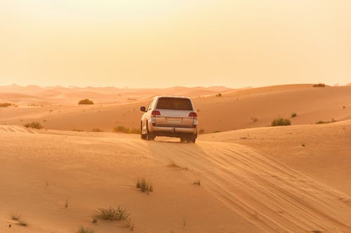 واقعة تهز أرجاء المملكة : زوج يدفن زوجته في صحراء تحت الرمال وبعد تسعة أشهر حدثت هذه المفاجأة!! 