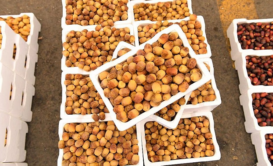 تمر سعودي رخيص الثمن يحمي القلب ويقوي العظام ويمنحك 8  فوائد صحية ستذهلك 