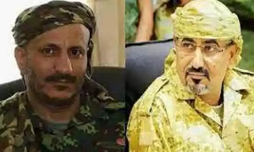 طارق صالح وعيدروس الزبيدي