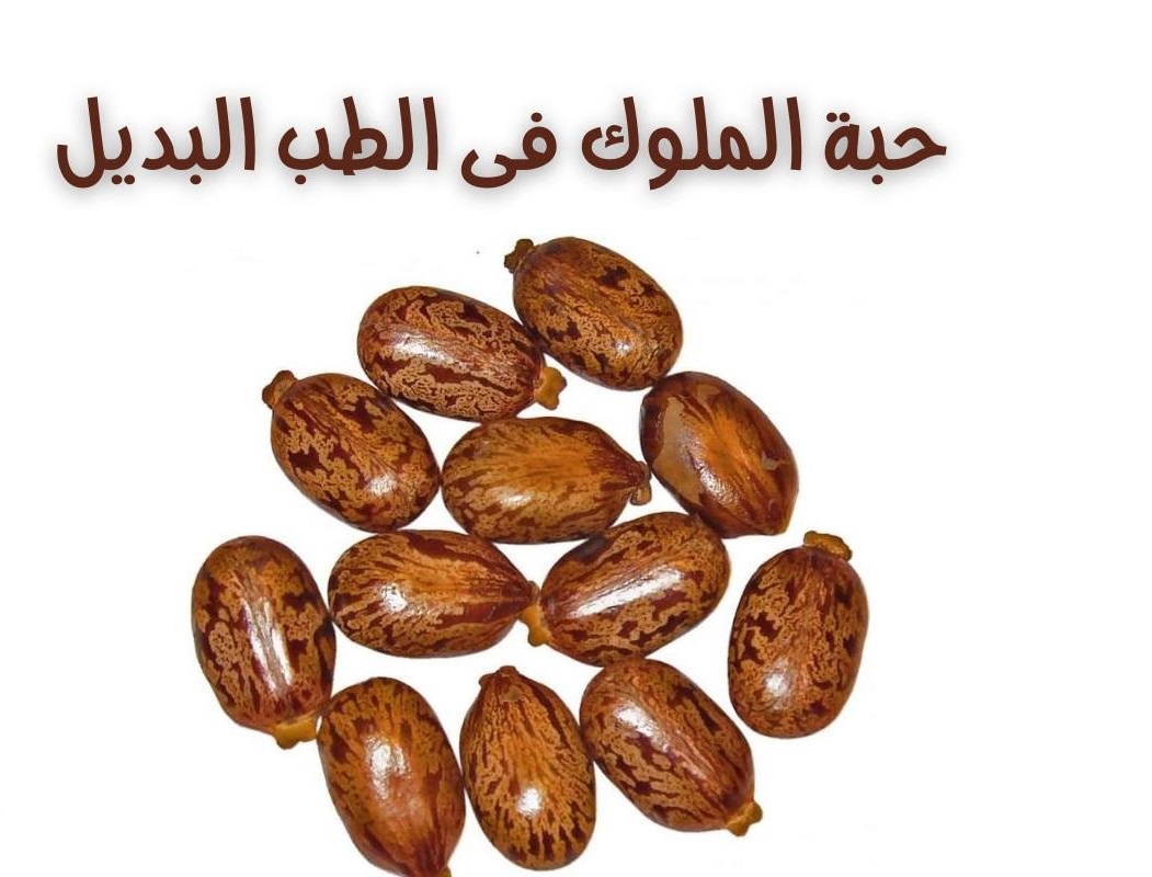 هذه العشبة تعالج النقرس والملاريا وآلام المفاصل وانسداد الأمعاء والأرق والكثير من الأمراض دون الحاجة للأدوية 