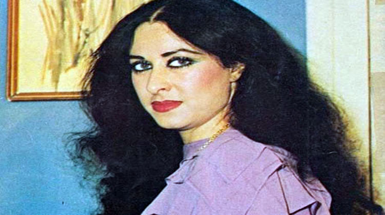 الفنانة نبيلة كرم