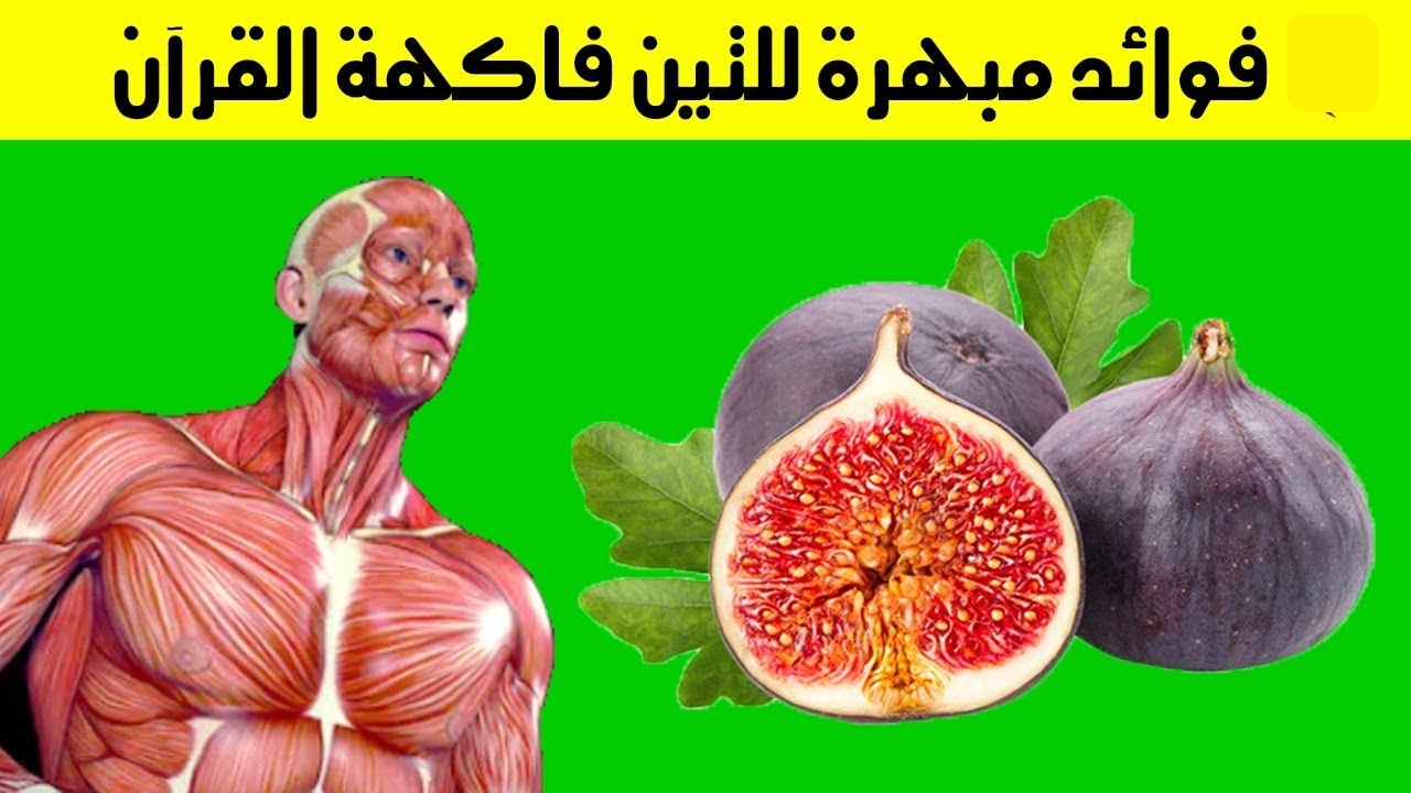 فوائد التين
