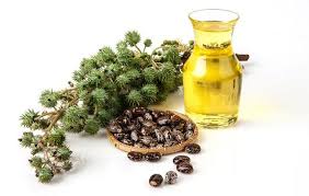 ما الذي يحدث عند دهن العضو الذكري بزيت الخروع في غرفة النوم ؟.. نتائج غير متوقعة
