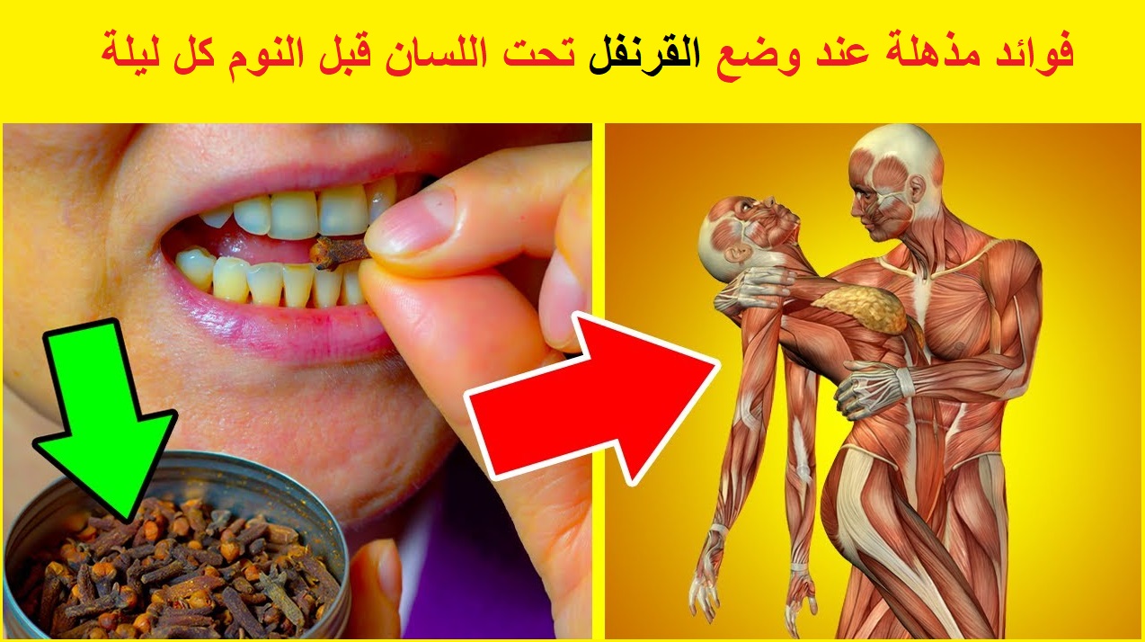 للمتزوجين فقط .. فقط تناول حبة قرنفل تحت لسانك كل ليلة وشاهد بنفسك مالذي سيحدث ؟