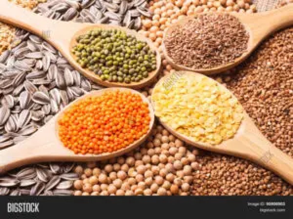 العشبة المعجزة .. تخفض الكوليسترول الضار في الدم و مفيدة لمرض السكري وأمراض القلب والأوعية الدموية وتمنع تصلب الشرايين وفوائد اخرى عظيمة! 