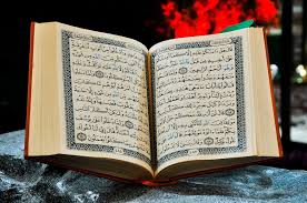 ذكرها الله في القرأن .. فاكهة مهملة تعالج السكري و الكبد و وتشفي 5 أمراض فتاكة .. تعرف عليها