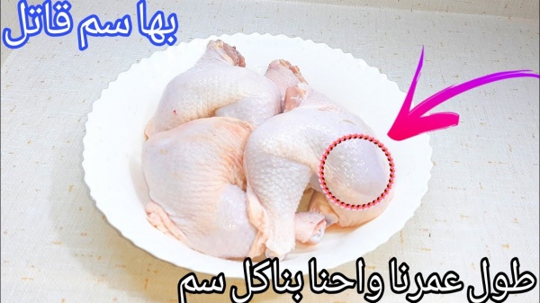 اجزاء الدجاج