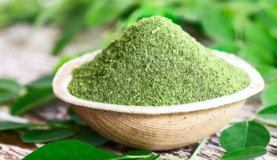  الشجرة المعجزة تزرع بكل بلد عربي .. نضبط سكر الدم وتخفض ضغط الدم وتعالج أكثر من 30 مرض عجر عنه الطب الحديث !