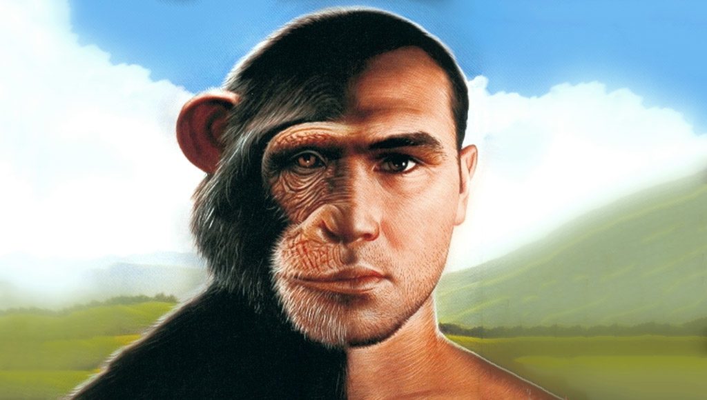 الانسان والقرد