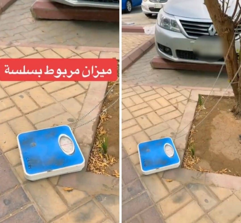 مواطن سعودي يعثر على ميزان  متروك على رصيف و مربوط في شجرة وعندما اقترب كانت المفاجأة ..شاهد