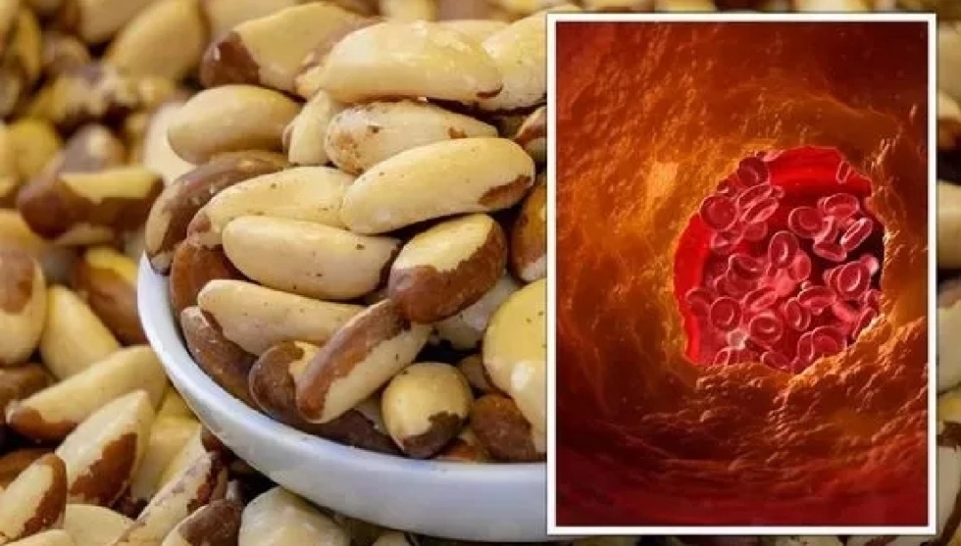 نوع من المكسرات احرص على تناوله ولا تتجاهله .. يحرق الكوليسترول في الجسم ويشفيك من انسداد الشرايين وتصلبها 