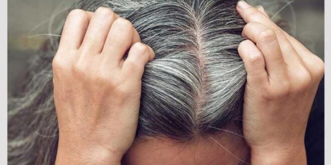بدون حناء .. مكون طبيعي يجعلك تودع الشعر الأبيض والشيب في فترة قصيرة ..  طريقة الاستخدام