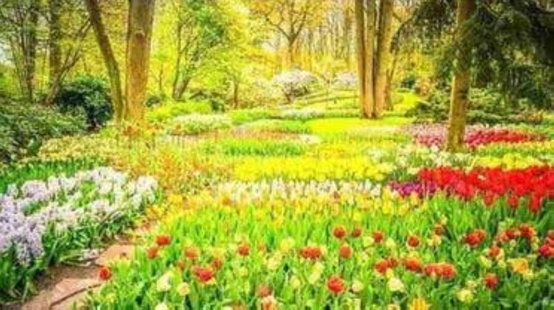 خدعة بصرية تحدد سرعة ملاحظتك.. اكتشف مكان الببغاء المختبئ بهذه الصورة خلال 60 ثانية فقط (صورة)