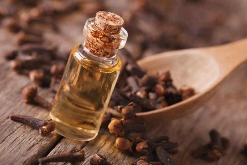 لـا تهملي زوجك ودلعيه في سريرك..ضعي القرنفل وزيـت الزيتون على هذه المنطقة لمدة 30 دقيقة