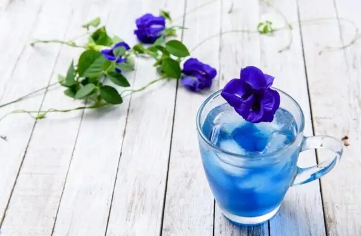 زهرة البازلاء الزرقاء